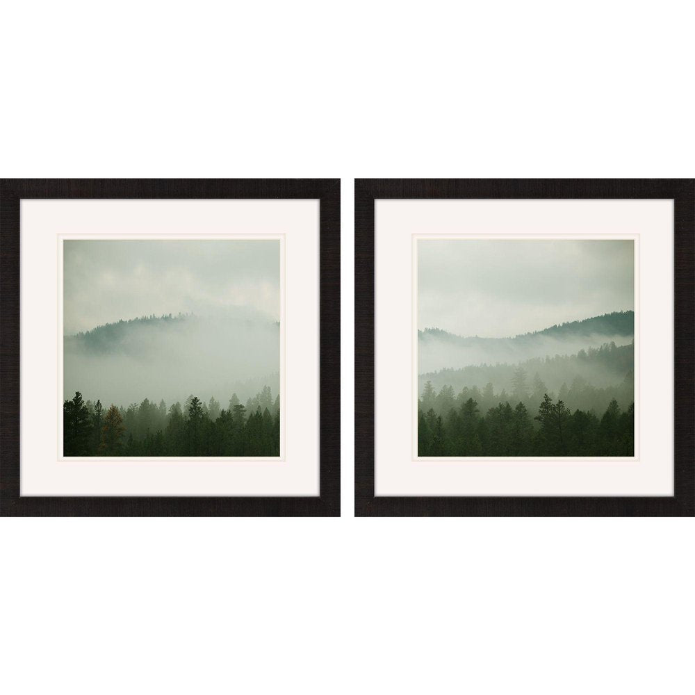 Set Of Two Verdant Country Brown Framed Wall Art HomeRoots