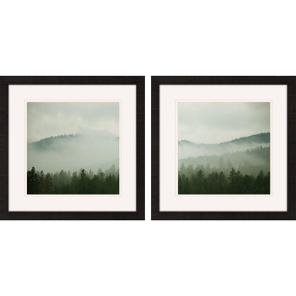 Set Of Two Verdant Country Brown Framed Wall Art HomeRoots
