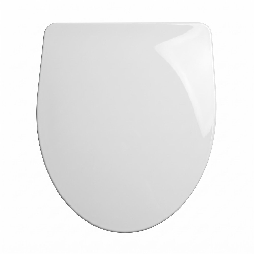 17" White Plastic repalce(Manual,Non-Electrical;Electric;Manual;Battery Powered,;Electric;Manual;) Oval One-Piece Toilet HomeRoots
