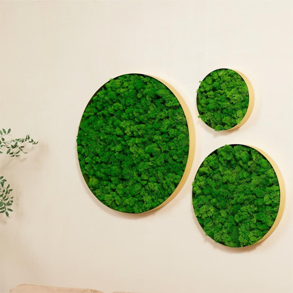 Round Framed Moss Wall Decor, only the Large - FurniFindUSA