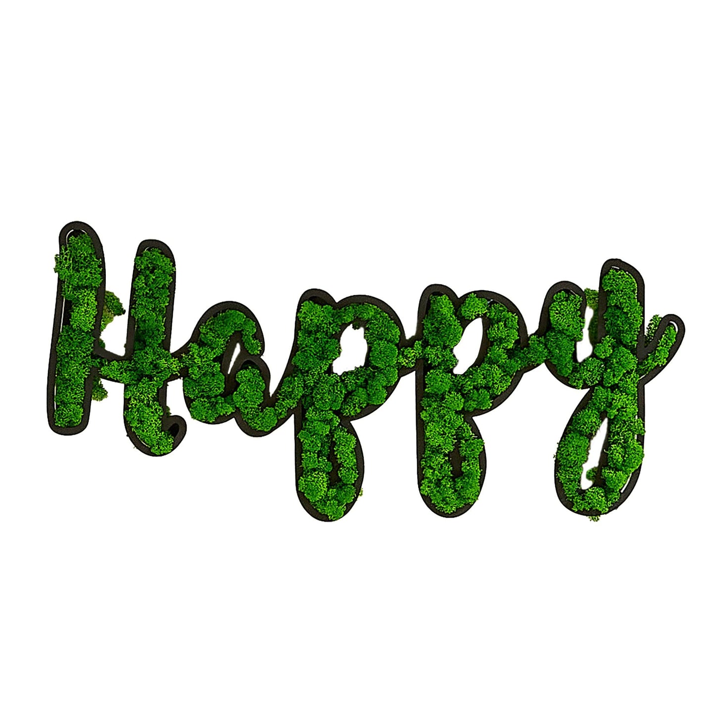 HAPPY Letter Art Moss Wall Decor - FurniFindUSA