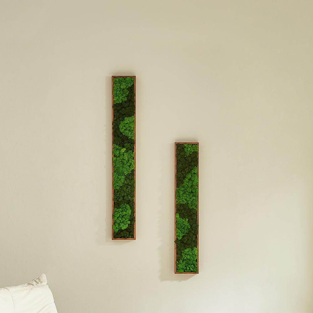 Rectangular Mixed Moss Wall Art, only the Medium - FurniFindUSA