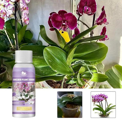 50ml Orchid Fertilizer Liquid Orchid Flower Plants Growth Enhancer Supplement Houseplants Food Promoter For Orchids Acid Blooms - FurniFindUSA