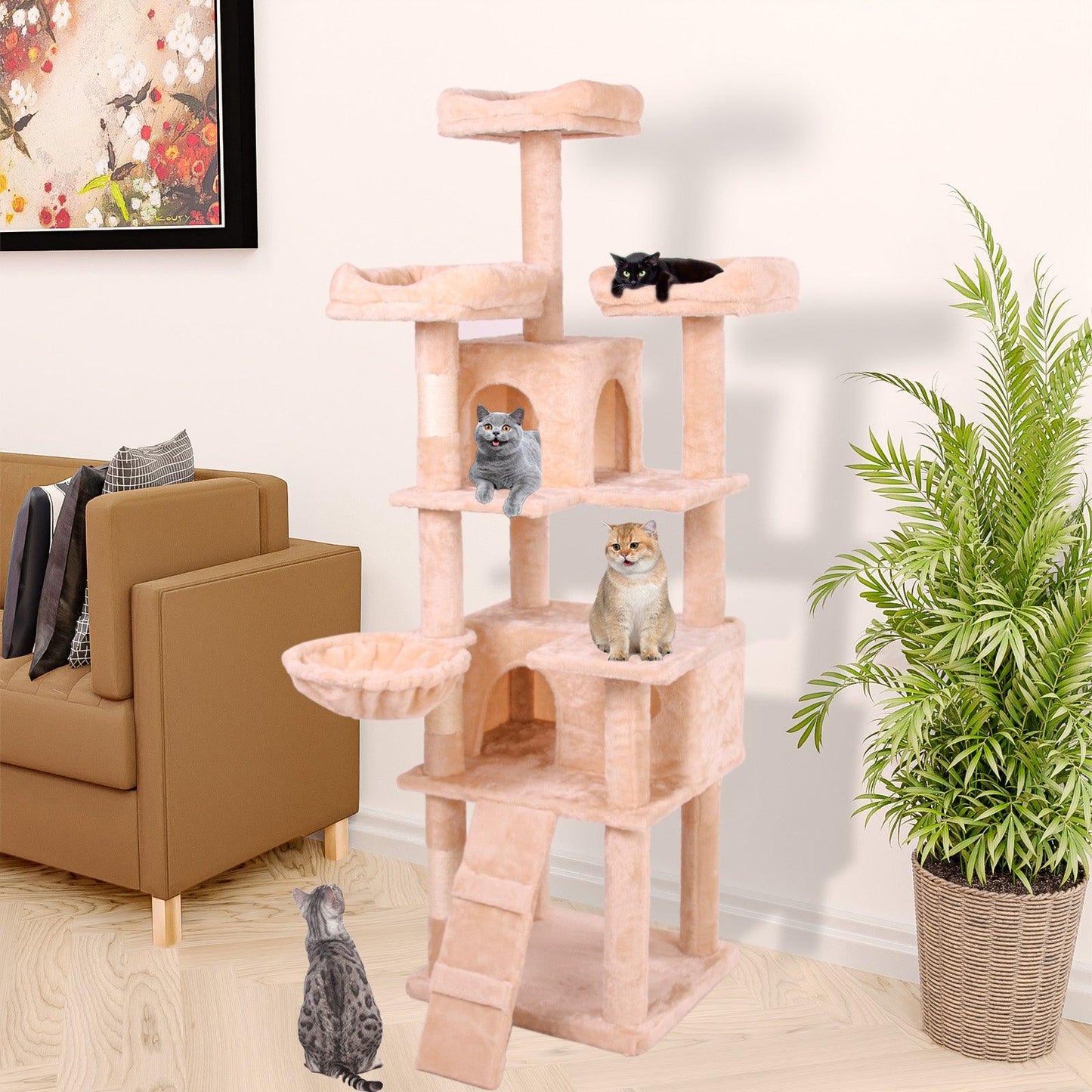 Cat Climbing Frame3 - FurniFindUSA