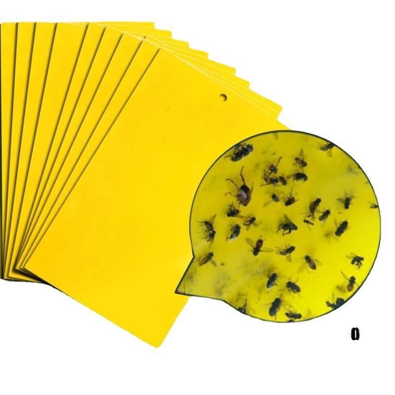 Double sidedStrong Flies Traps Bugs Sticky Board Catching Aphid Insects Killer fly Control Whitefly Thrip Leafminer Glue Sticker - FurniFindUSA