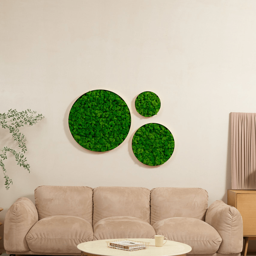 Round Framed Moss Wall Decor, only the Large - FurniFindUSA