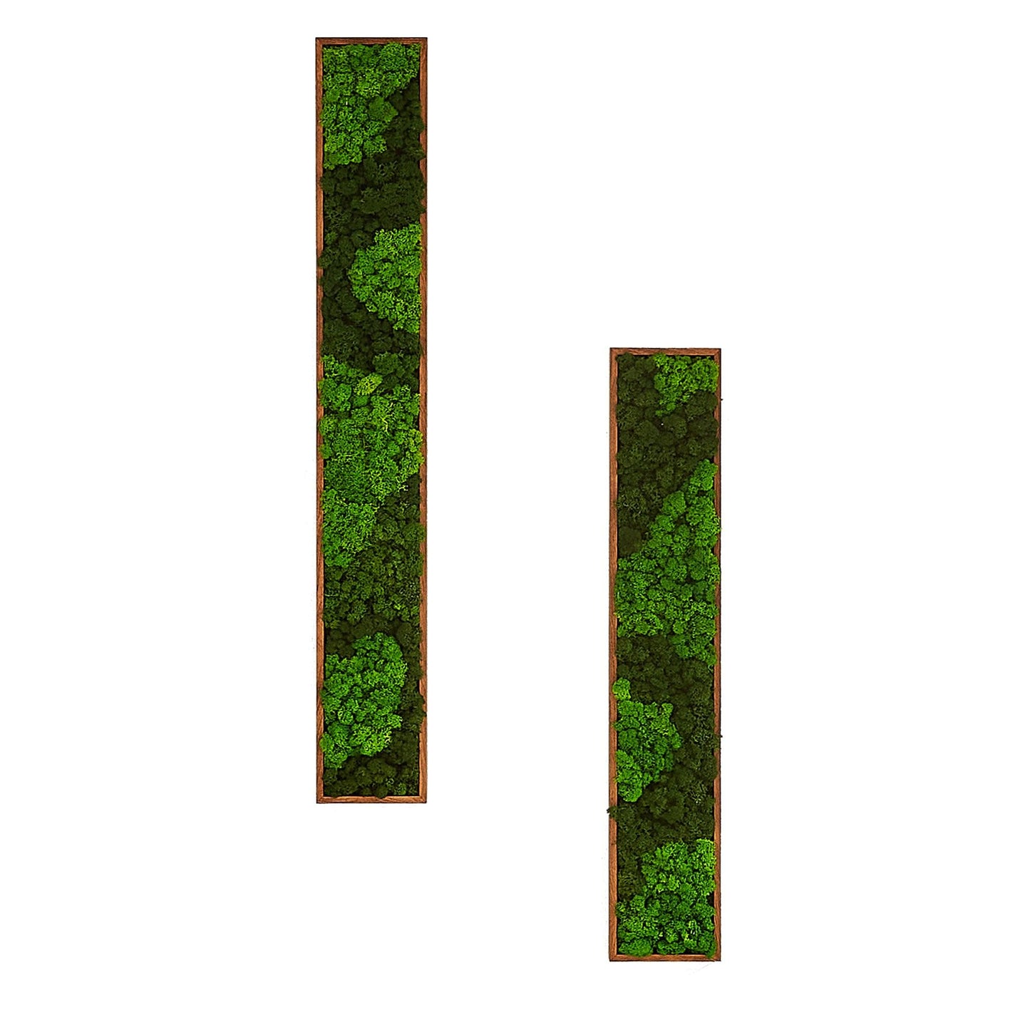 Rectangular Mixed Moss Wall Art, only the Medium - FurniFindUSA