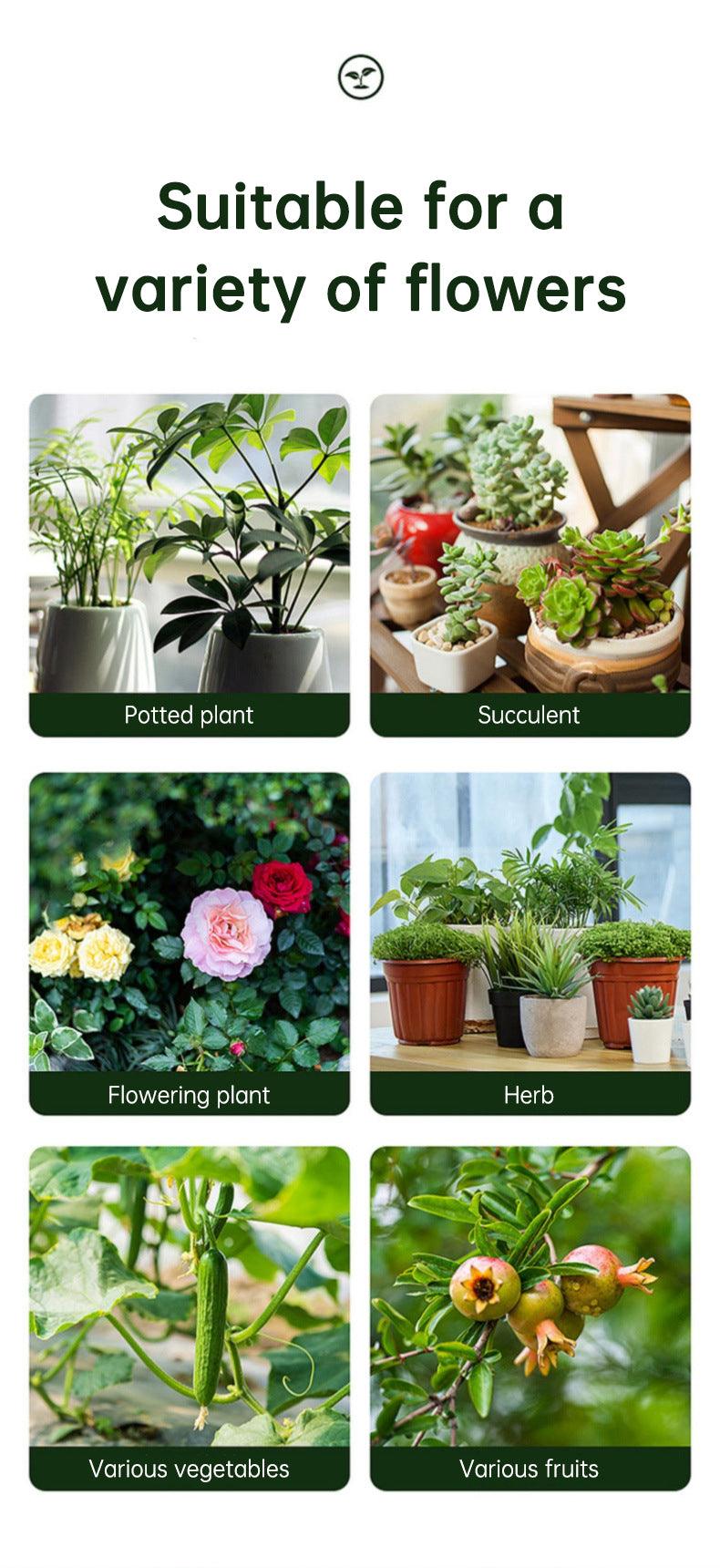 Insecticide flower plant insecticide flower aphids rose flower diseases and insect pests indoor flower spray insecticide water e - FurniFindUSA