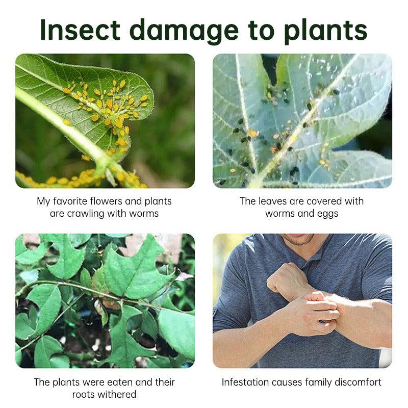 Insecticide flower plant insecticide flower aphids rose flower diseases and insect pests indoor flower spray insecticide water e - FurniFindUSA