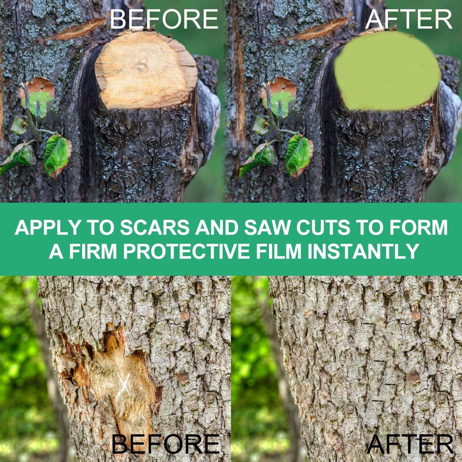 Seedling Tree Wound Sealer Callus Scars Cut Paste Bonsai Pruning Sealer Saw Cuts Coating Tree Wound Healing Paste Tree - FurniFindUSA