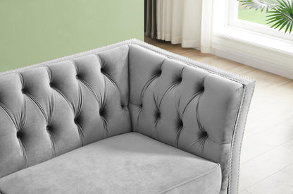 Loveseat Tufted Sofa for Living Room