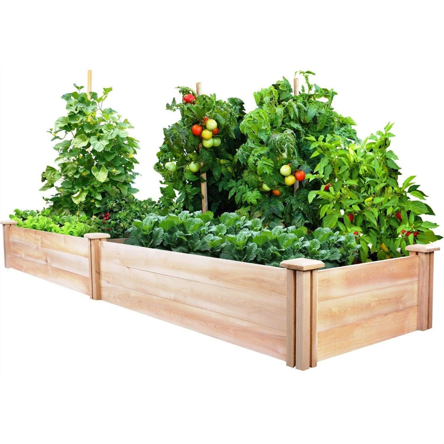 Cedar Wood 2-Ft x 8-Ft Outdoor Raised Garden Bed Planter Frame - Made in USA - FurniFindUSA